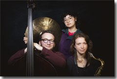 MAX JOHNSON TRIO